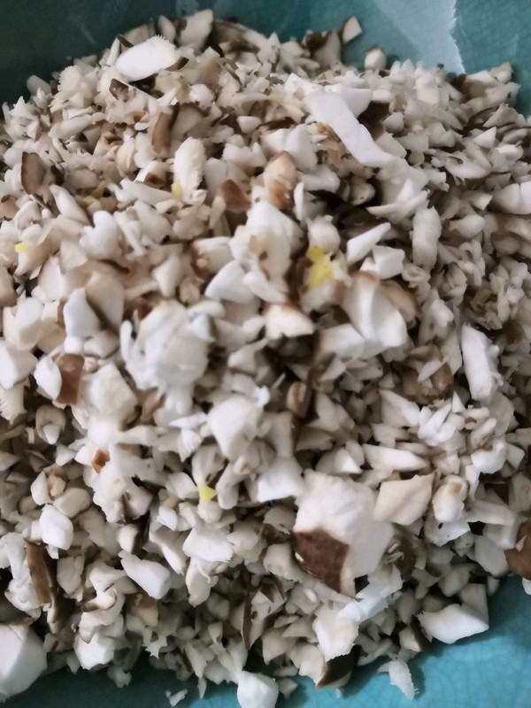 香菇荠菜鲜肉饺子