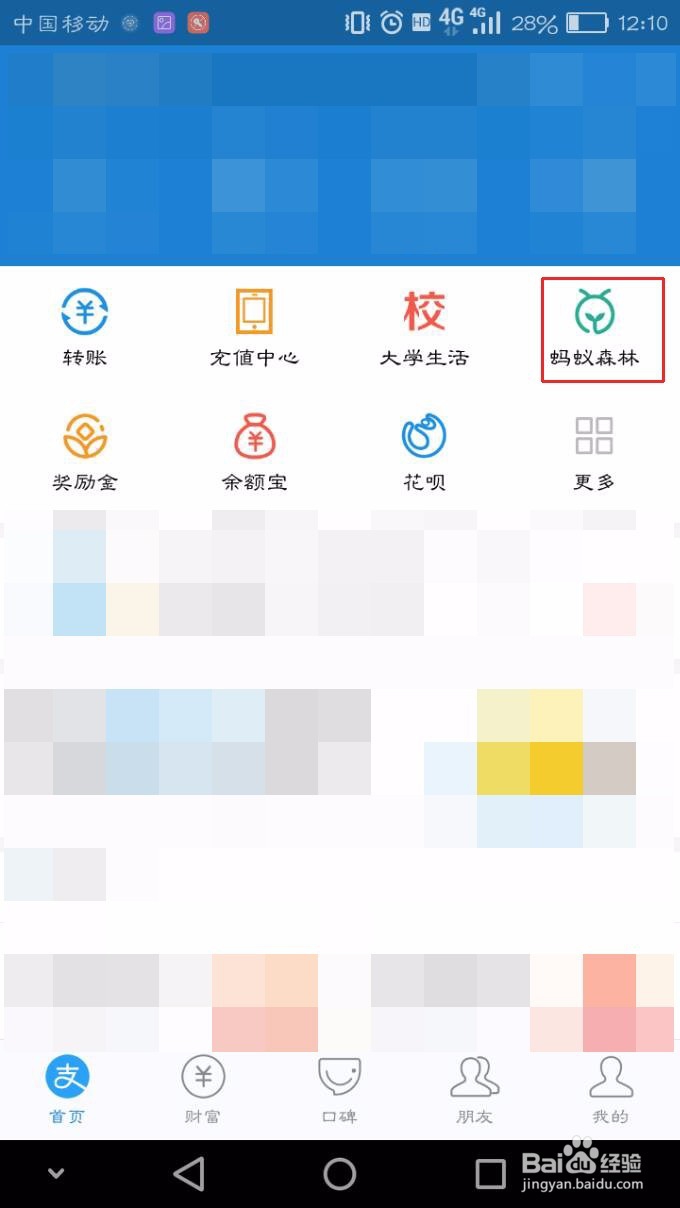 支付宝的合种怎么查看各成员的浇水量