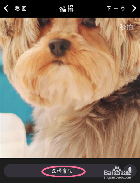 秒拍:如何选择音乐和设置主题?