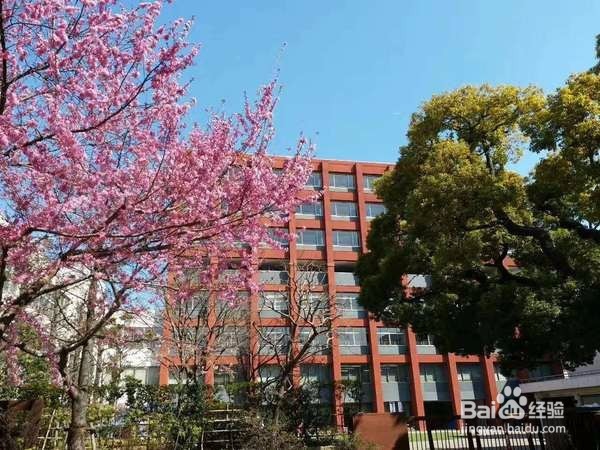 去日本发现他们真的自觉自律