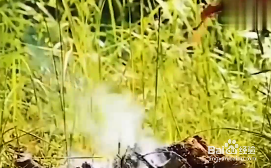 生活小妙招，可乐除了好喝还有这些用处