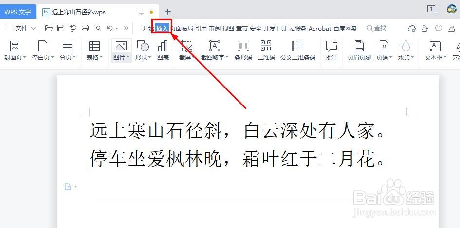 WPS文档怎样插入旗帜符号