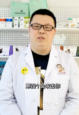 狗狗怎样的行为是记仇呢