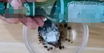 有哪些家中驱蚊子的方法