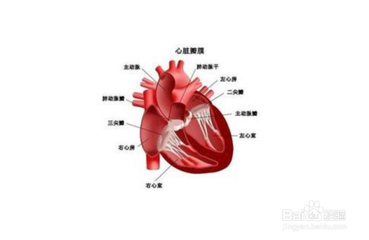 了解抽烟危害,关注身体健康