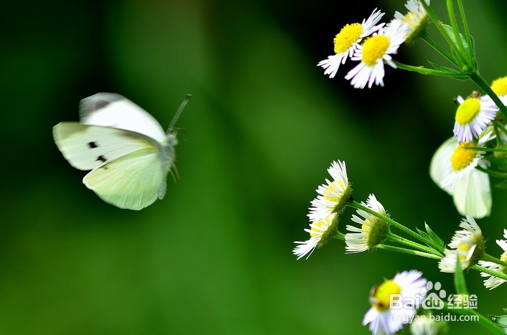 如何学会和你不想打交道的人联系
