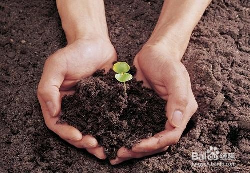 如何衡量土壤中重金属的生物有效性