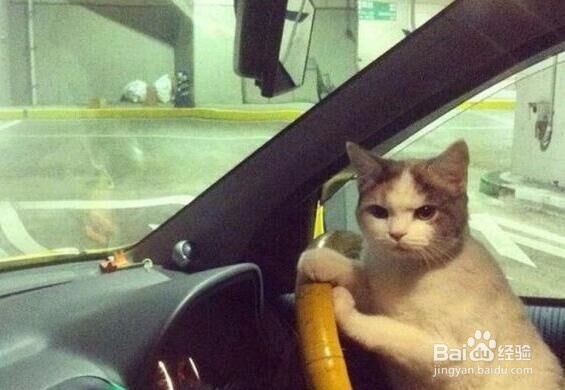 怎样面对流言蜚语？