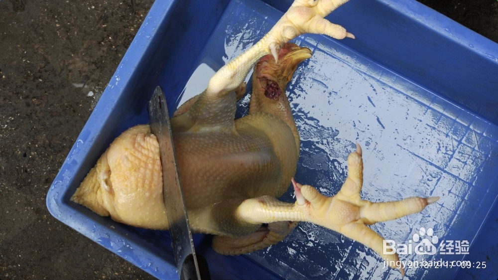 农村拜神鸡贡品鸡怎么处理收拾