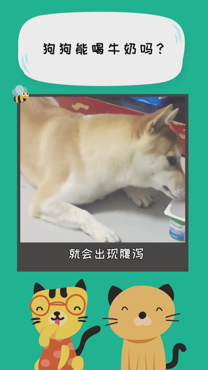 狗狗能喝牛奶吗