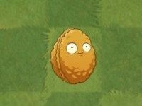 植物大战僵尸——进阶植物的建议(初期篇)