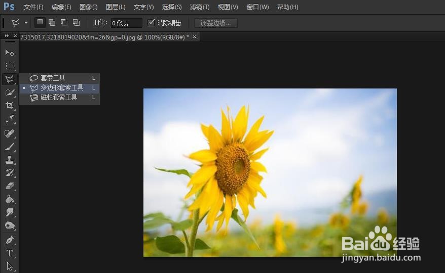 PS如何使用多边套索工具抠图