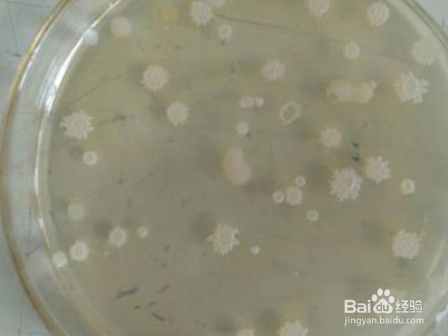 蜡渍怎么去除？