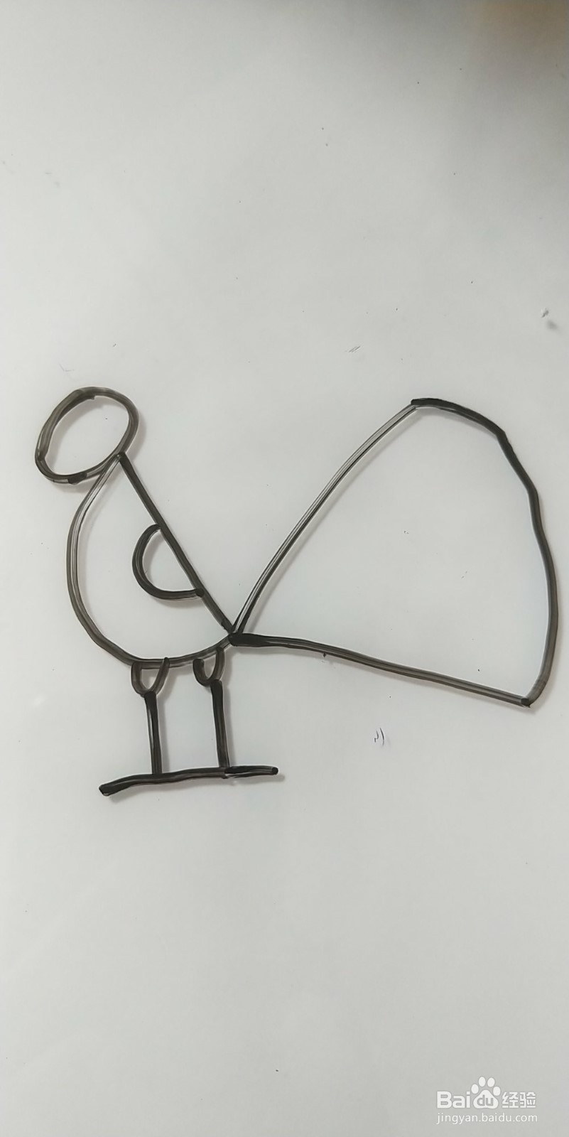 怎么画简笔画孔雀？