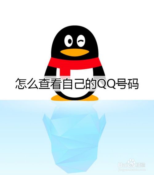 怎么查看自己的QQ号码