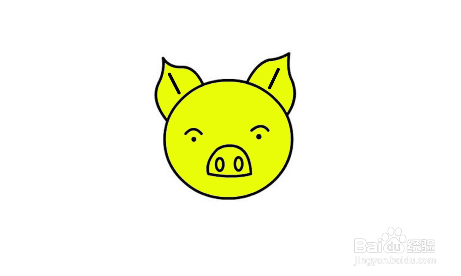 猪耳朵的画法图片