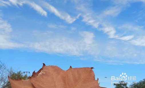 如何对待实现不了的梦想