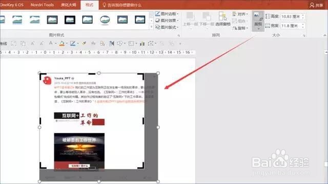 如何所截突兀的图放到PPT中瞬间升级？
