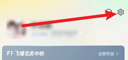 飞猪旅行怎么开通生物支付功能