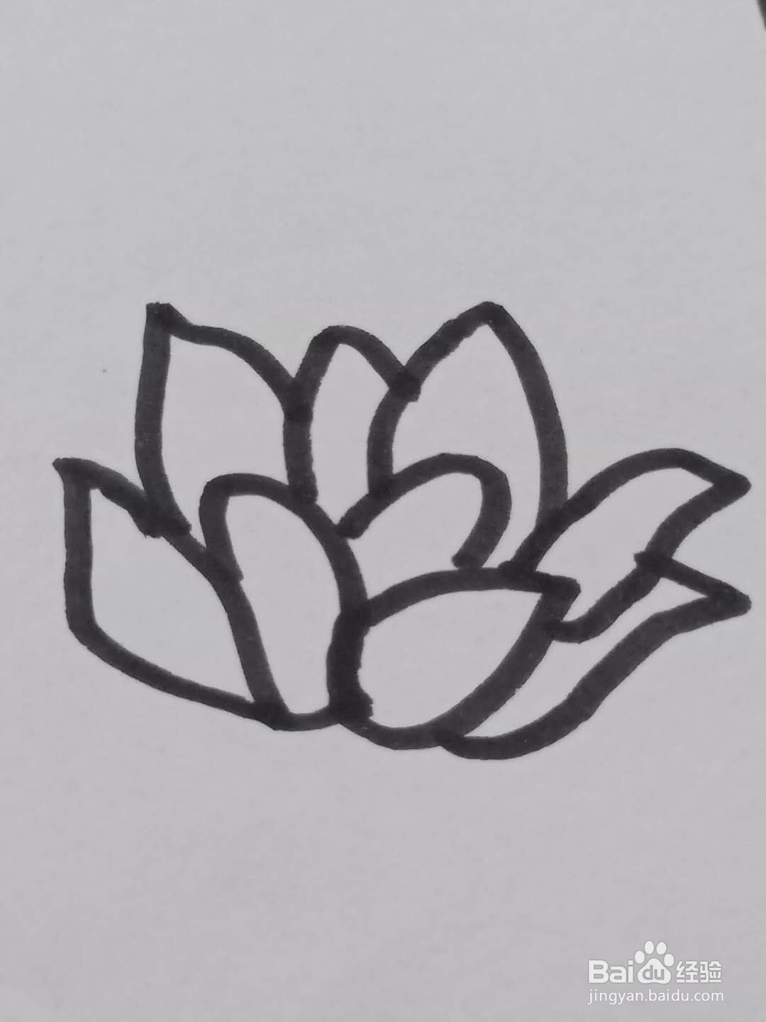 怎样画荷花