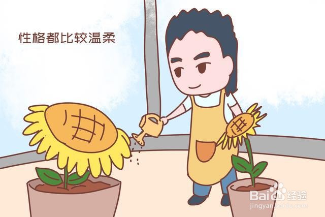 男生如何处理婆媳矛盾