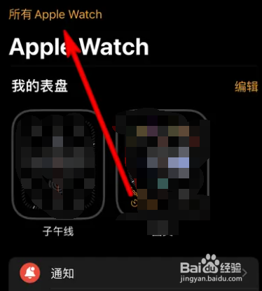 Apple Watch怎么配对