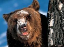 photoshop图案生成器