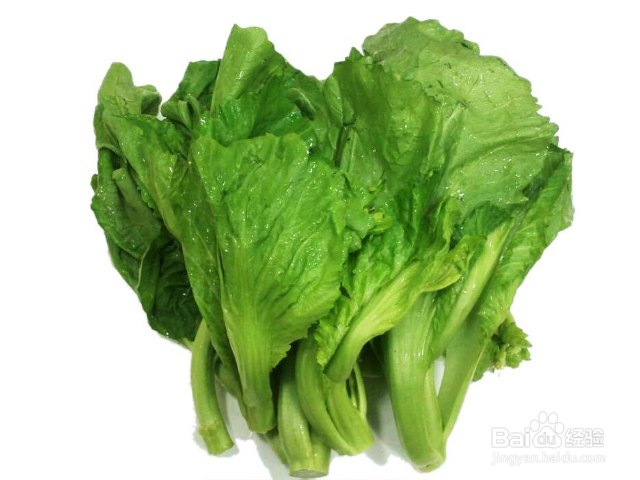 家常蔬菜芥菜究竟有什么功效和作用？