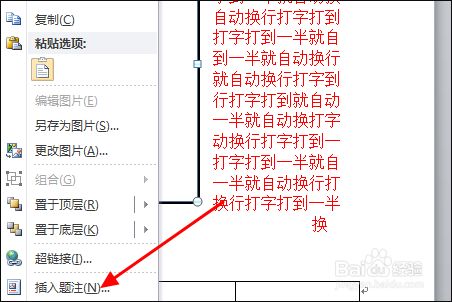word图片文字环绕时怎么让题注保持在图片正下方