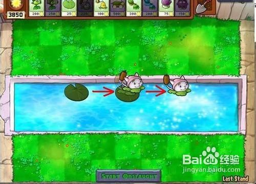 《植物大战僵尸2》浓雾全关攻略!