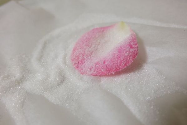 糖霜玫瑰奶油蛋糕