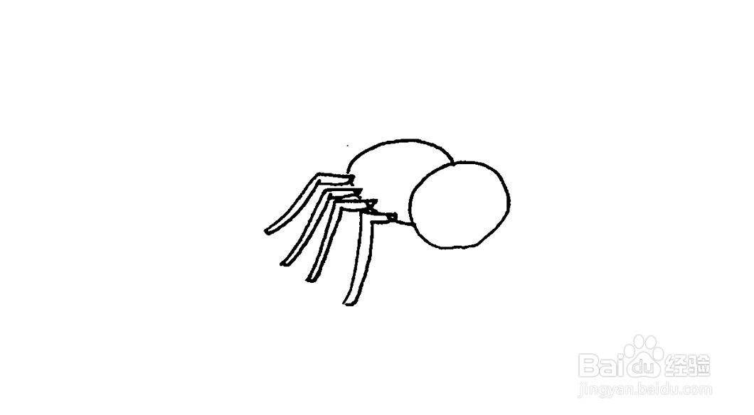 蜘蛛简笔画画法教程