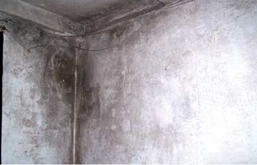 房间潮湿 墙壁发霉怎么办