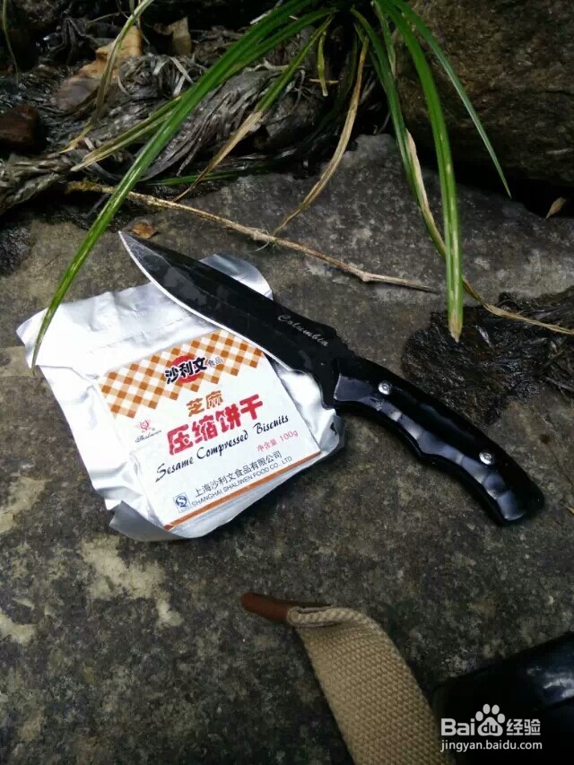 江西省马头山原始森林指南