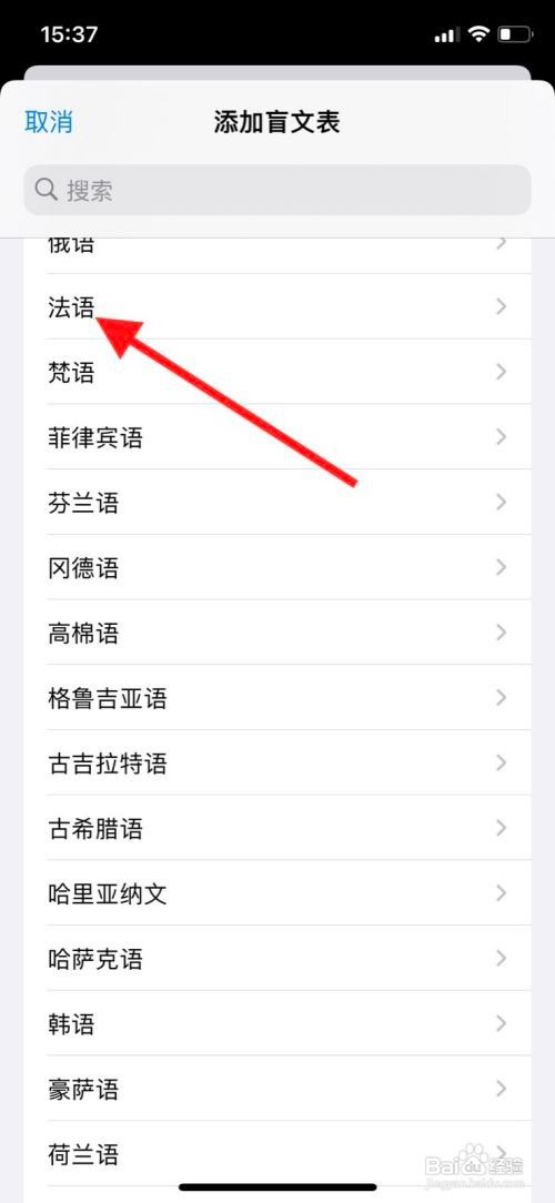 苹果手机增添旁白“法语”盲文表