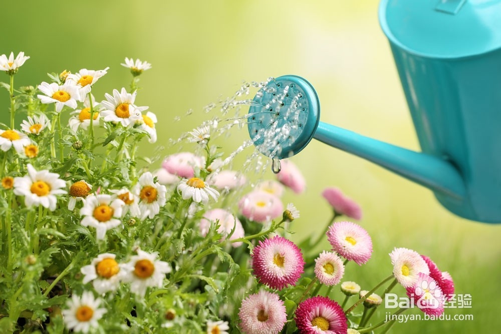 过期牛奶的二次利用