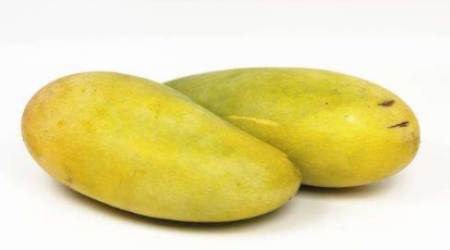 芒果的保存方法是冷藏还是保鲜