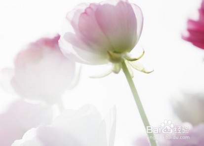 职场新人怎样给自己买保险好？