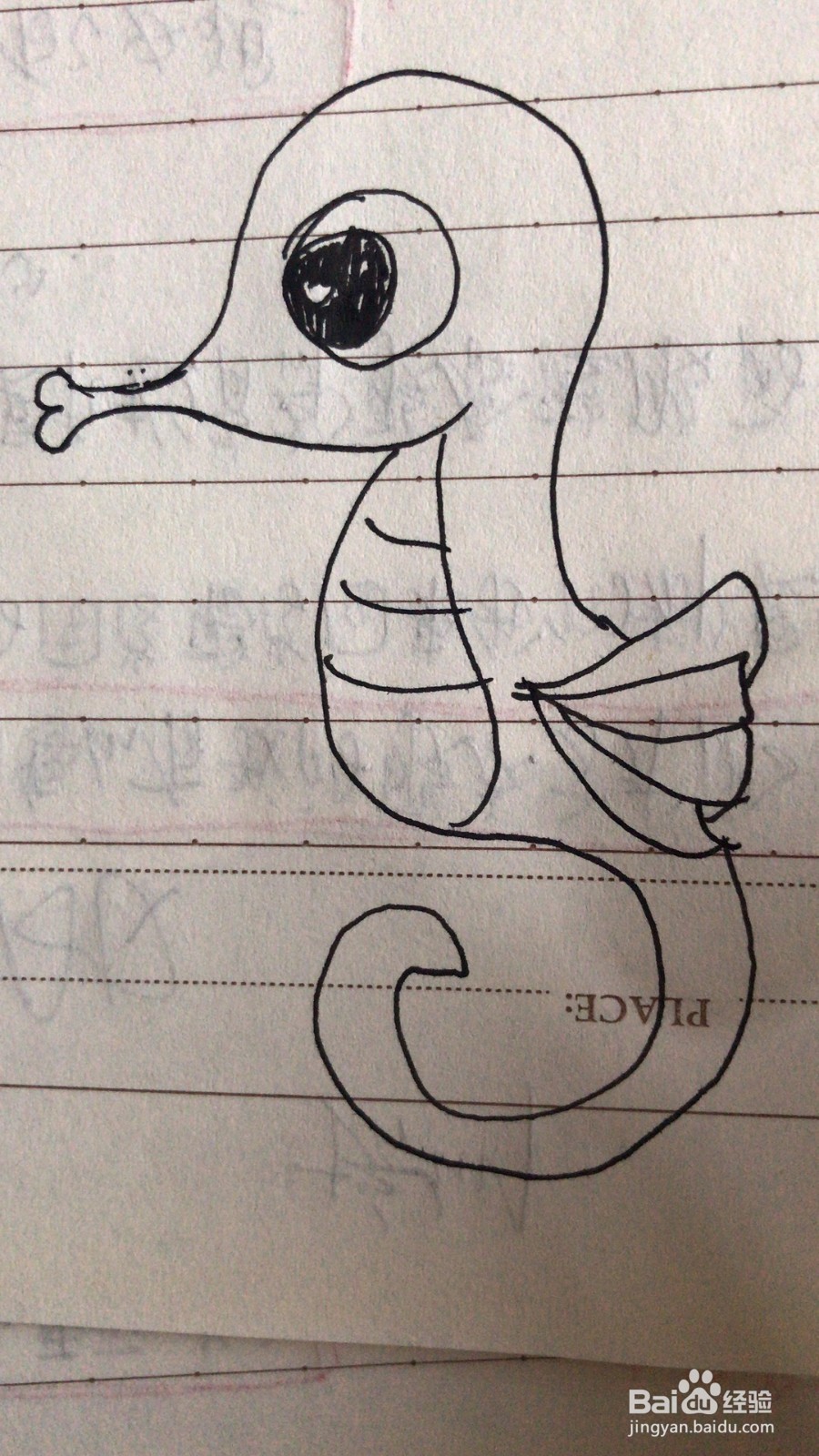 小海马的简笔画