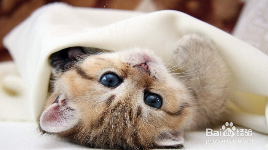 一个人的时候，你应该干些什么？