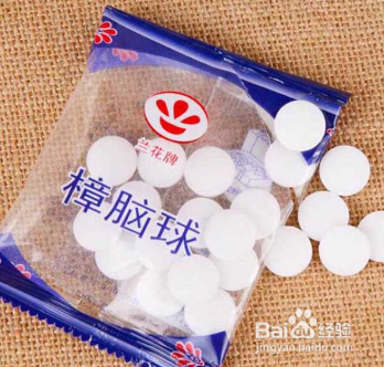 床上有鼠妇虫怎么处理