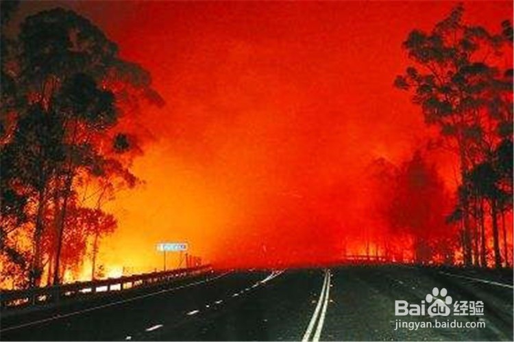遇森林火灾如何逃生