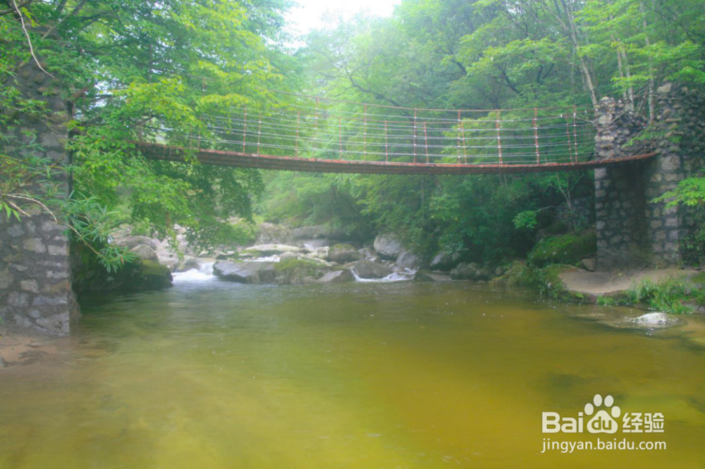 陕西云雾山景区游览攻略