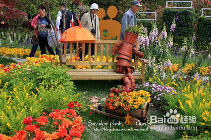 上海植物园（上）