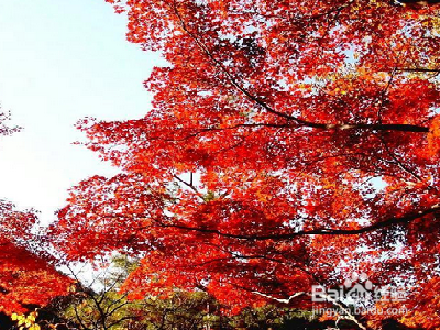 北京凤凰岭自然风景区游玩攻略
