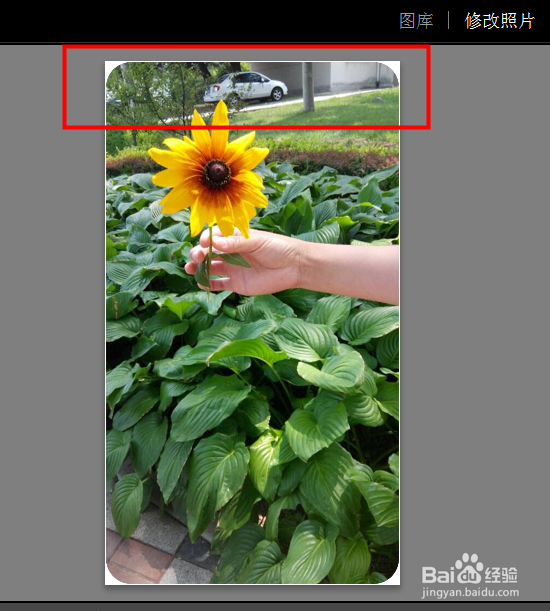 如何让lightroom导入照片时使用预设