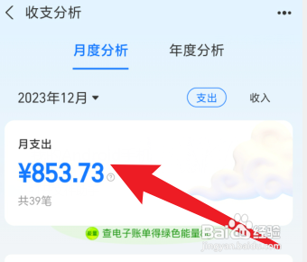 支付宝每月总支出如何查询？