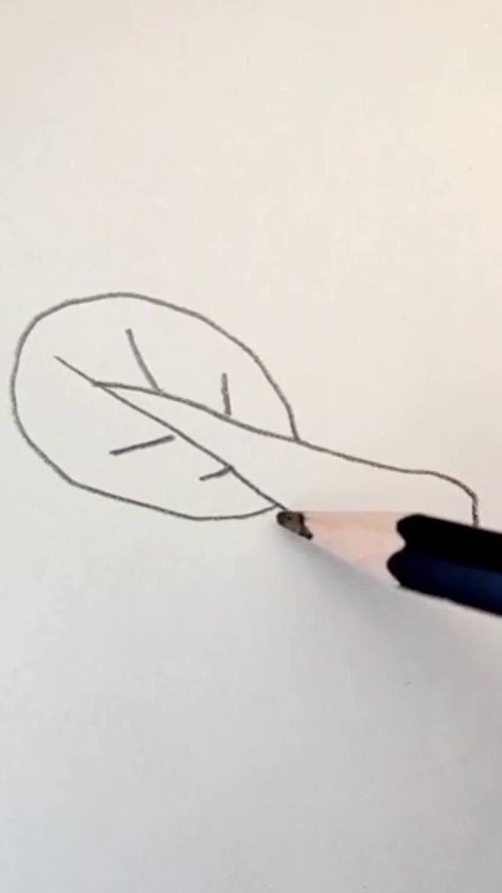 育儿简笔画白菜怎么画
