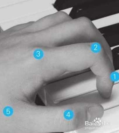 电子琴谱简单入门