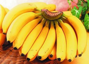 小偏方治大病——冠心病